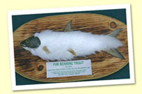 The Alpino-Pelted Trout